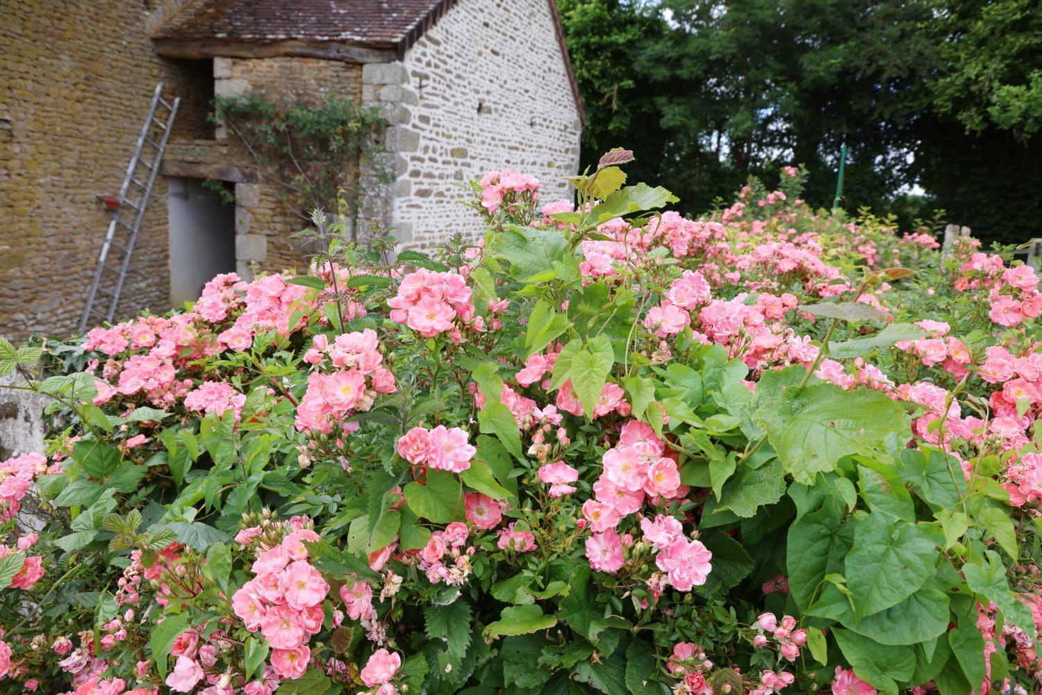 Chambre d'hôte Courtoux Saint-Denis-sur-Sarthon Exterior foto